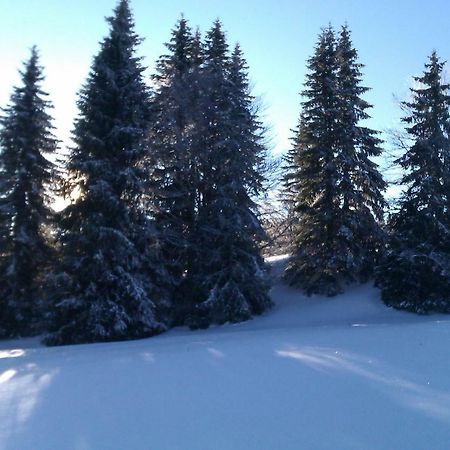 Chalet Daria Преманон Экстерьер фото