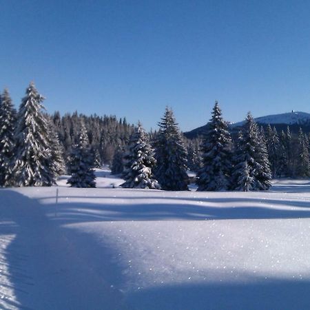 Chalet Daria Преманон Экстерьер фото