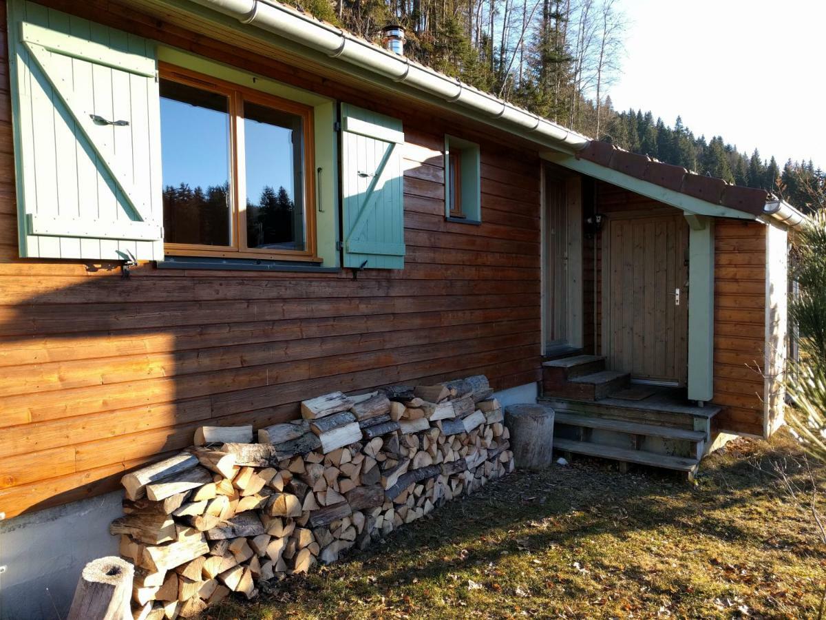 Chalet Daria Преманон Экстерьер фото