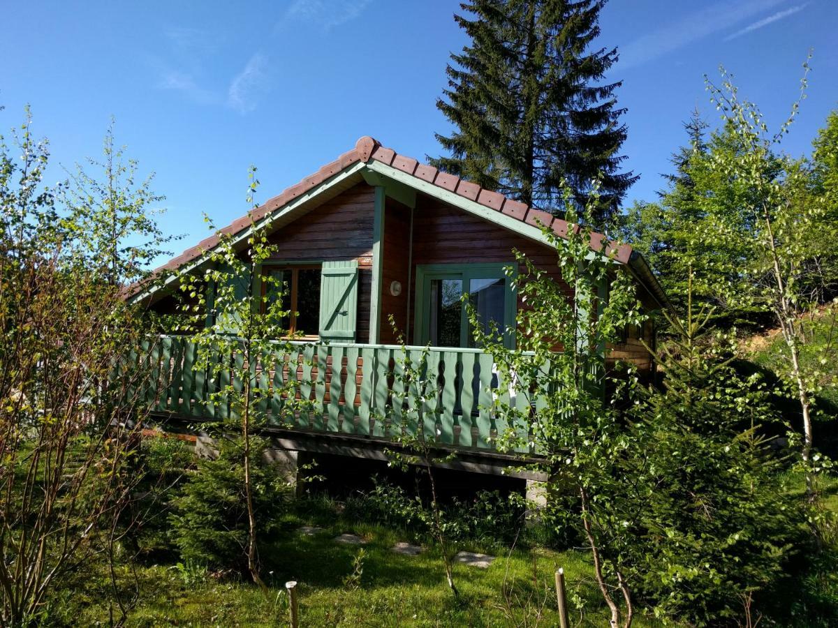 Chalet Daria Преманон Экстерьер фото