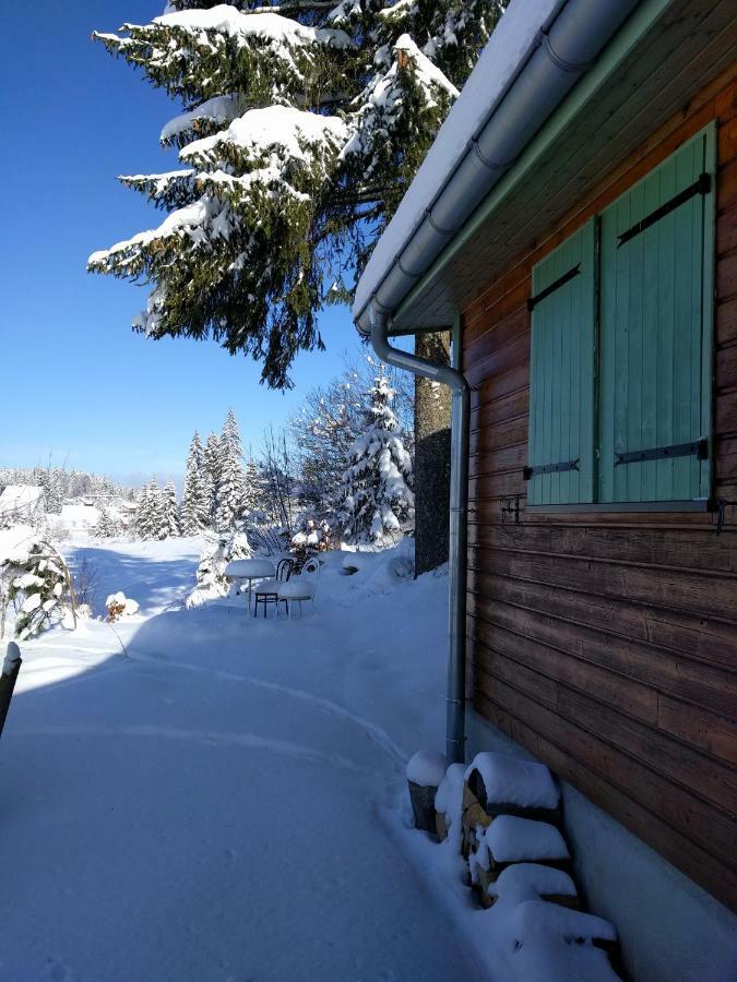 Chalet Daria Преманон Экстерьер фото